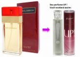 Perfume Dolce & Gabbana 50ml - Essência Up!